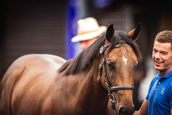 Goffs Premier Yearling Sale 2022-95