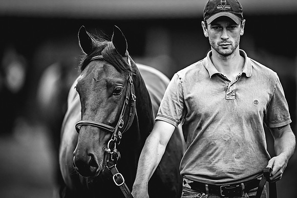 Goffs Premier Yearling Sale 2022-128