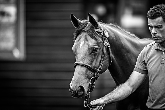 Goffs Premier Yearling Sale 2022-103