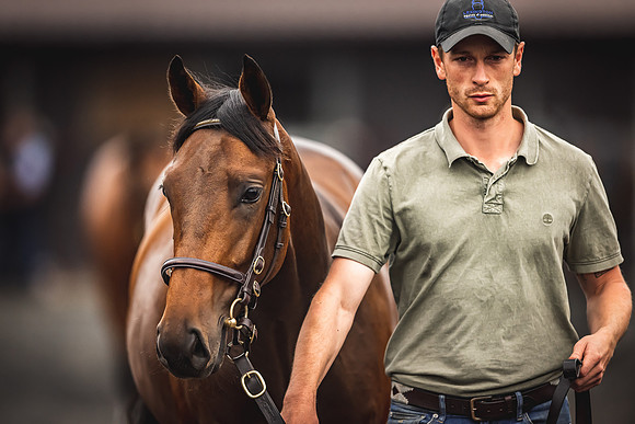 Goffs Premier Yearling Sale 2022-129