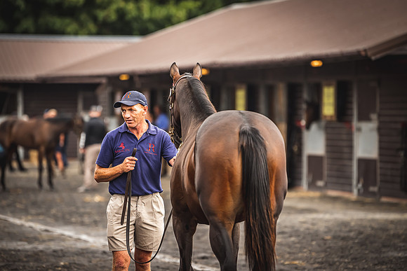 Goffs Premier Yearling Sale 2022-59