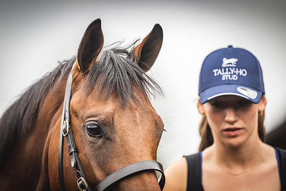 Goffs Premier Yearling Sale 2022-144