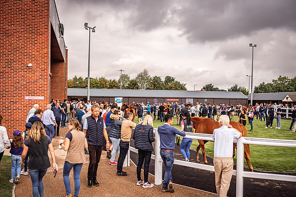 Goffs Premier Yearling Sale 2022-165