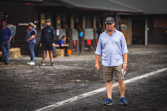 Goffs Premier Yearling Sale 2022-49