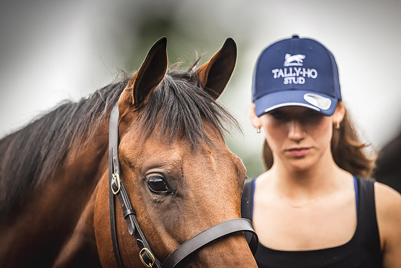 Goffs Premier Yearling Sale 2022-143