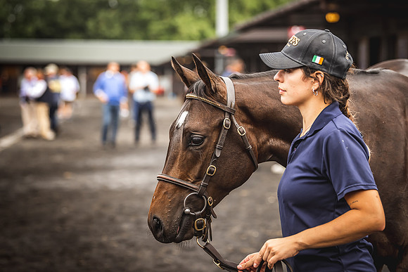 Goffs Premier Yearling Sale 2022-70