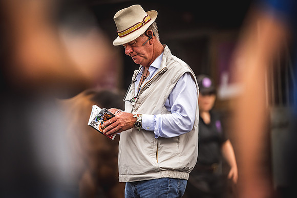 Goffs Premier Yearling Sale 2022-85