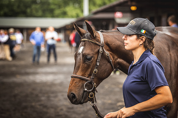 Goffs Premier Yearling Sale 2022-69