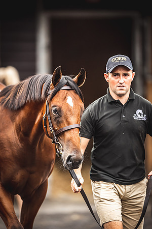 Goffs Premier Yearling Sale 2022-117