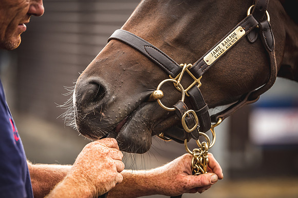 Goffs Premier Yearling Sale 2022-54