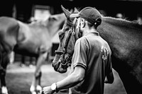 Goffs Premier Yearling Sale 2022-14