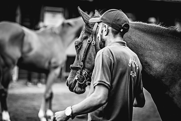 Goffs Premier Yearling Sale 2022-14
