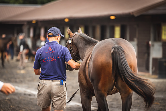 Goffs Premier Yearling Sale 2022-58