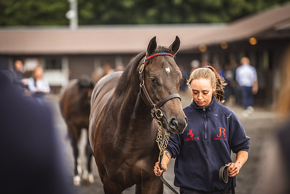 Goffs Premier Yearling Sale 2022-65