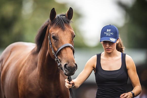 Goffs Premier Yearling Sale 2022-140