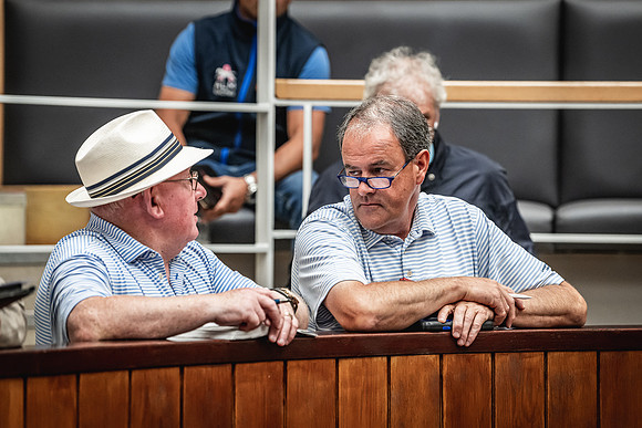 Goffs Premier Yearling Sale 2022-151