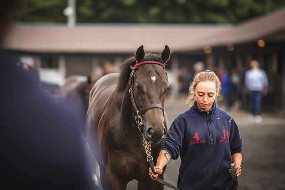 Goffs Premier Yearling Sale 2022-64