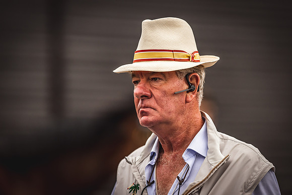 Goffs Premier Yearling Sale 2022-82