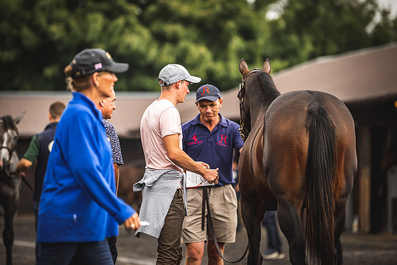 Goffs Premier Yearling Sale 2022-60