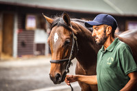Goffs Premier Yearling Sale 2022-13