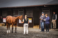 Goffs Premier Yearling Sale 2022-5
