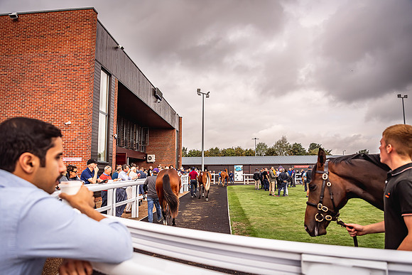Goffs Premier Yearling Sale 2022-164