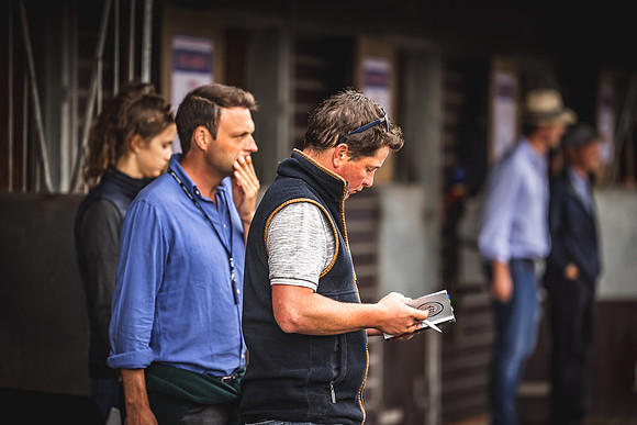 Goffs Premier Yearling Sale 2022-9