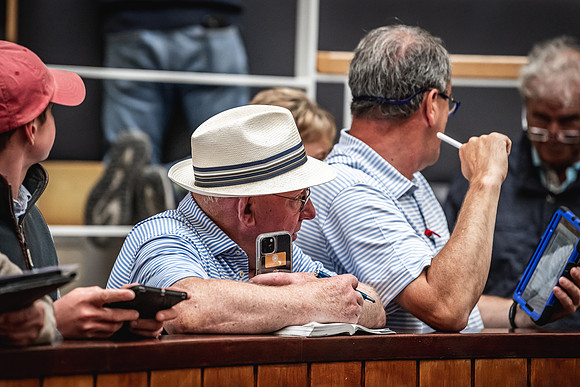 Goffs Premier Yearling Sale 2022-157