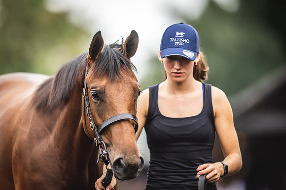 Goffs Premier Yearling Sale 2022-141