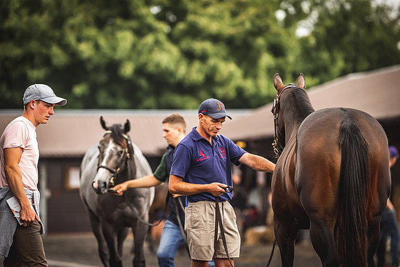 Goffs Premier Yearling Sale 2022-61