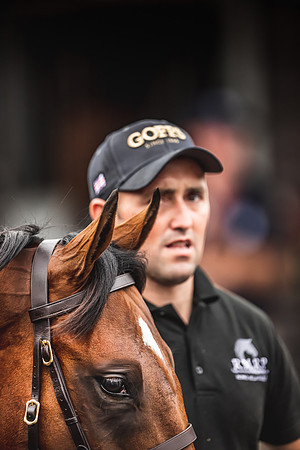 Goffs Premier Yearling Sale 2022-121