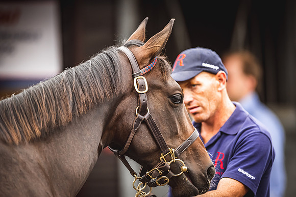 Goffs Premier Yearling Sale 2022-108