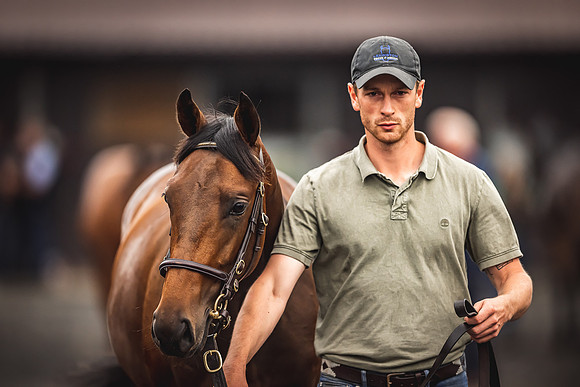 Goffs Premier Yearling Sale 2022-127