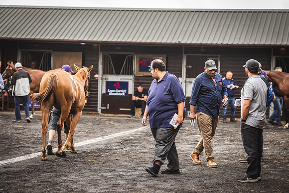 Goffs Premier Yearling Sale 2022-36