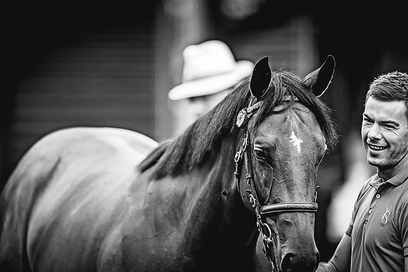 Goffs Premier Yearling Sale 2022-94