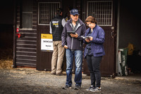 Goffs Premier Yearling Sale 2022-3