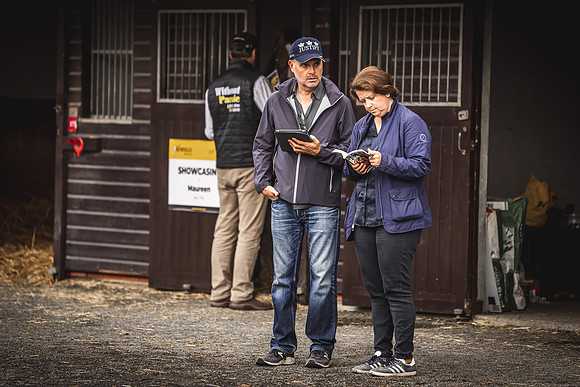 Goffs Premier Yearling Sale 2022-3