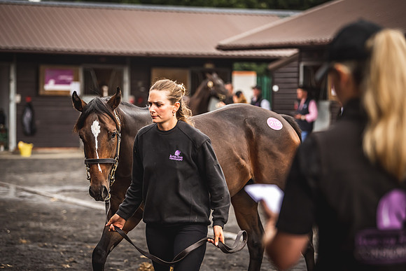 Goffs Premier Yearling Sale 2022-20