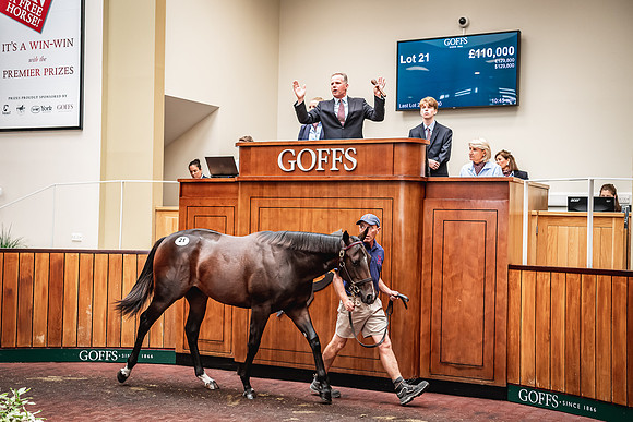 Goffs Premier Yearling Sale 2022-148
