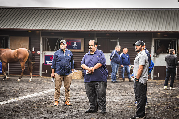 Goffs Premier Yearling Sale 2022-35