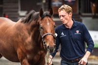Goffs UK PYS21-3
