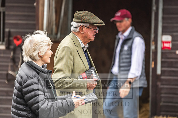 Goffs UK PYS21-11
