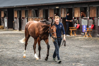 Goffs UK PYS21-4