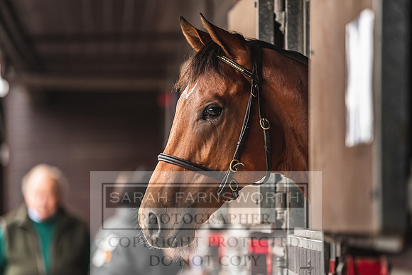 Goffs UK PYS21-20