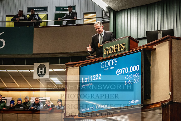 Goffs Nov Breeding Stock Sale 22-358
