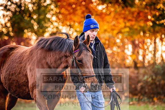 Goffs Nov Breeding Stock Sale 22-33