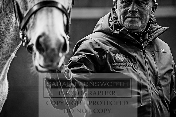 Goffs Nov Breeding Stock Sale 22-395