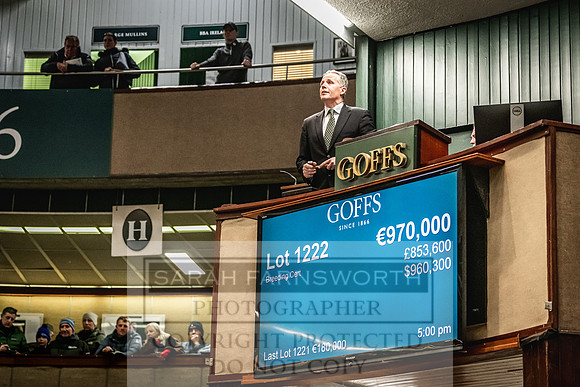 Goffs Nov Breeding Stock Sale 22-359