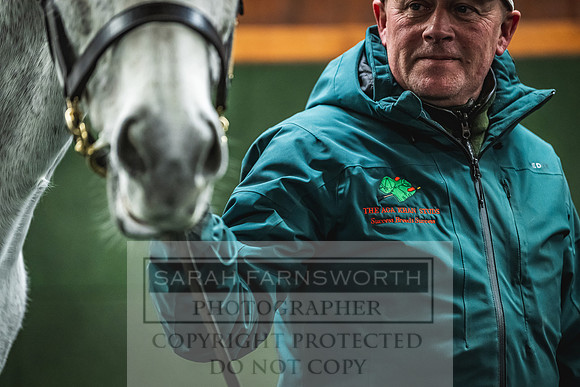 Goffs Nov Breeding Stock Sale 22-396