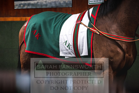 Goffs Nov Breeding Stock Sale 22-415